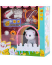 Pet House